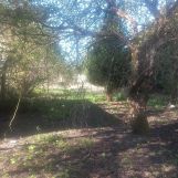 Działka rolno-budowlana Sosnowiec Feliks, Felix. Zdjęcie 2