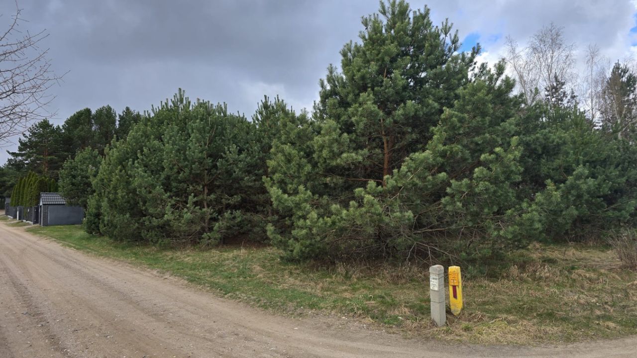 Działka rolna Dobrzyniewo Duże, ul. Klonowa. Zdjęcie 4
