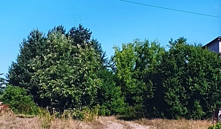Działka budowlana Ostrowiec Świętokrzyski Denków, Tomaszów