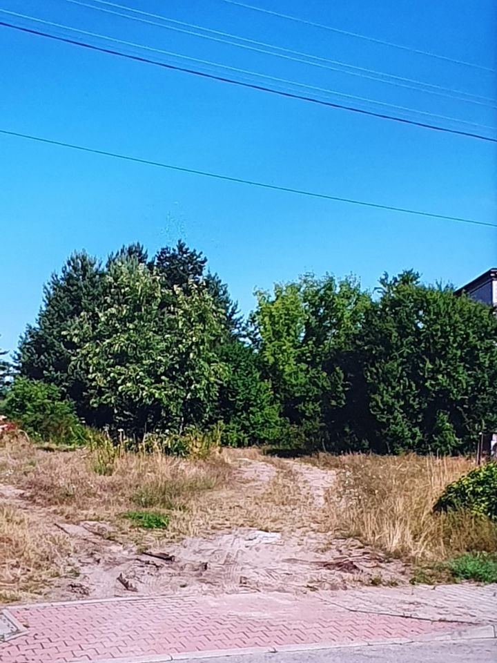 Działka budowlana Ostrowiec Świętokrzyski Denków, Tomaszów. Zdjęcie 1