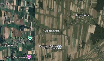 dom wolnostojący Brzuskowola