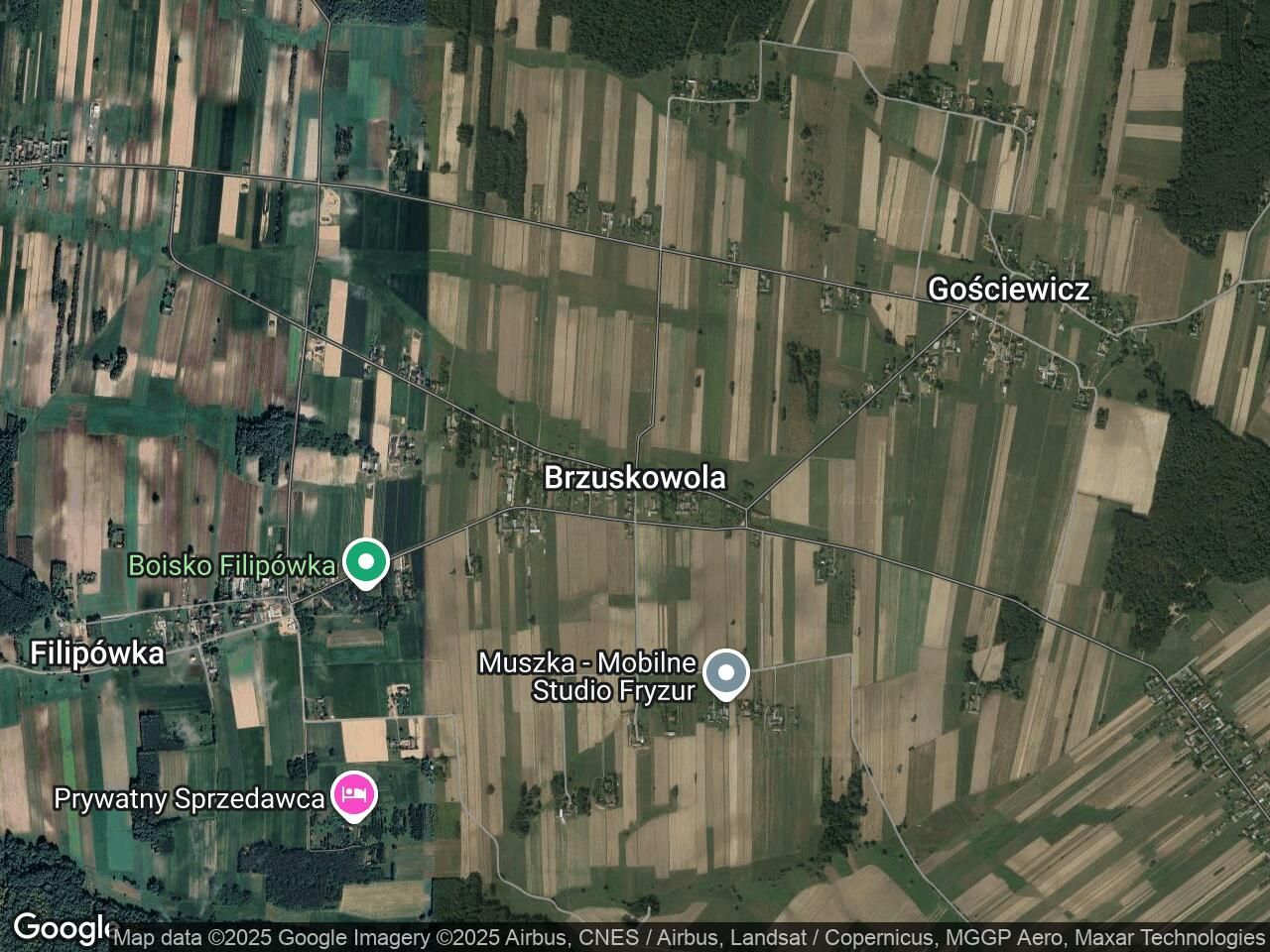 dom wolnostojący Brzuskowola