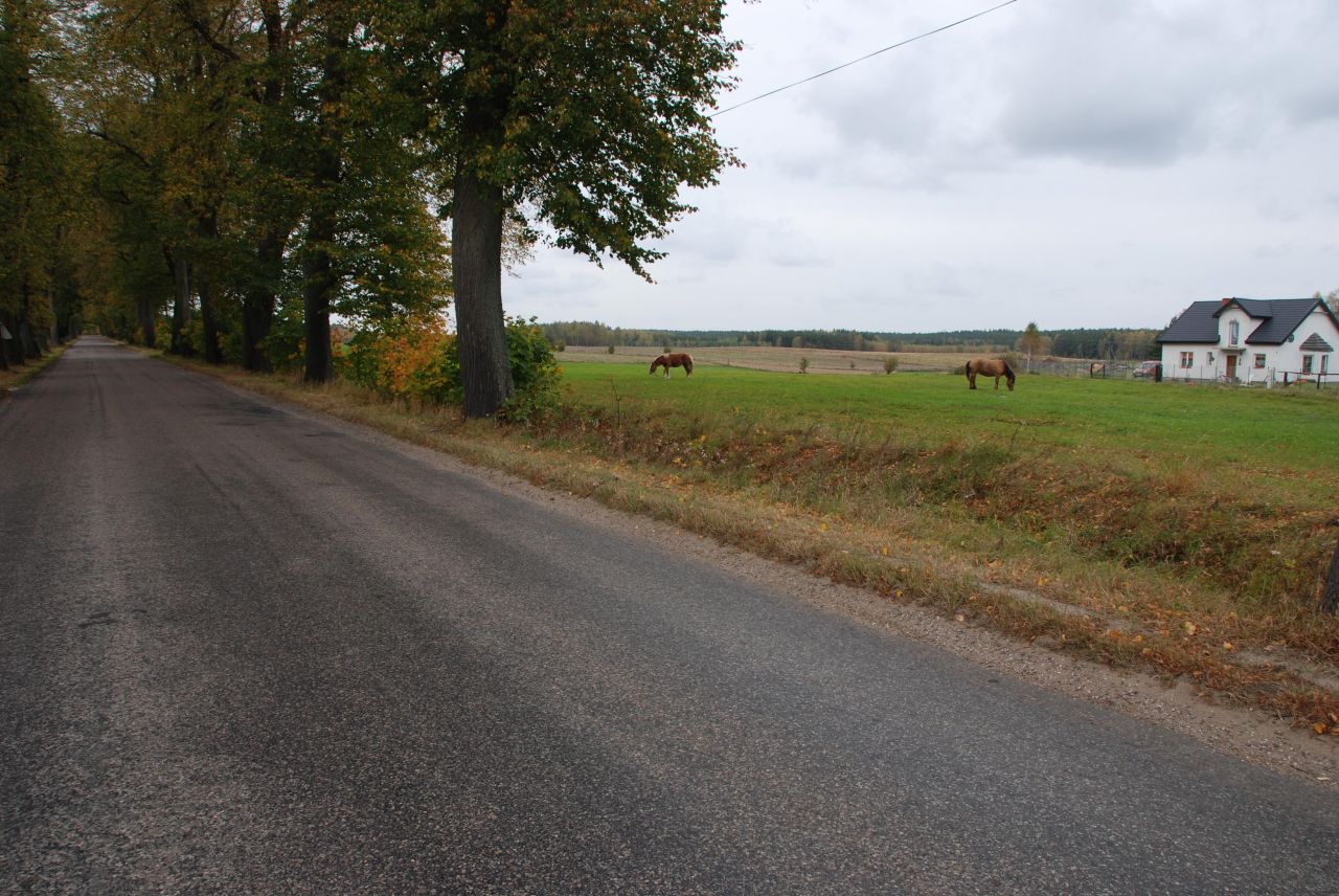 Działka budowlana Módłki. Zdjęcie 5