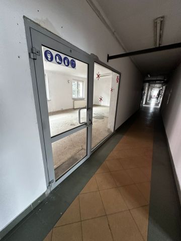 Hala/magazyn Tarnobrzeg Nagnajów, ul. Strefowa. Zdjęcie 1