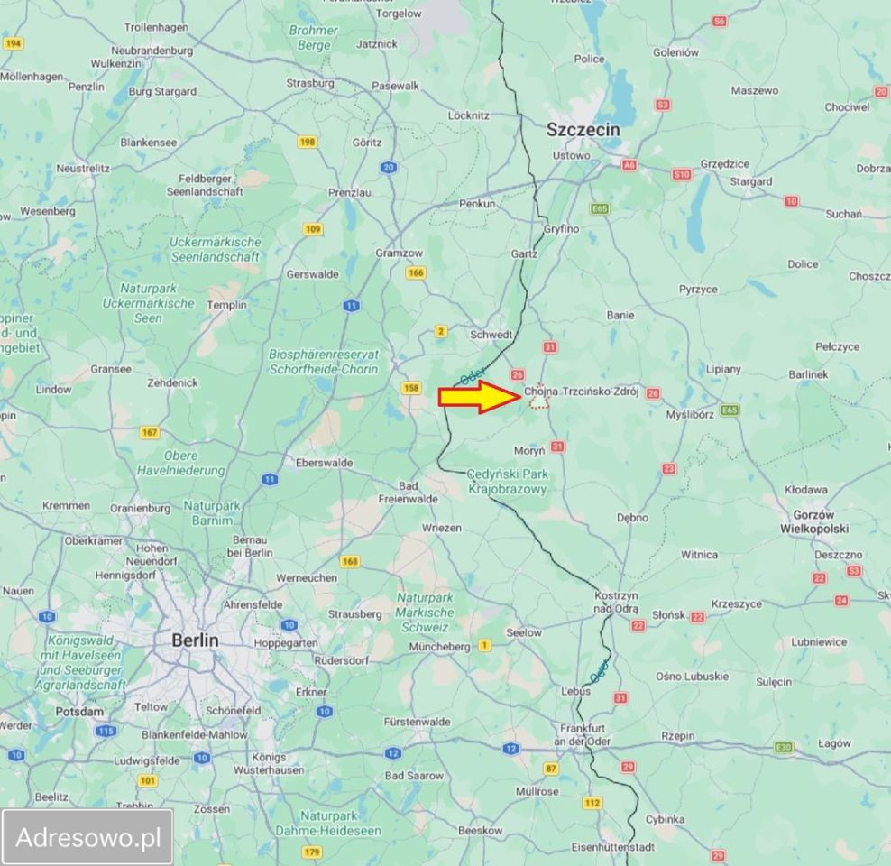 Działka budowlana Chojna, ul. Klonowa. Zdjęcie 4