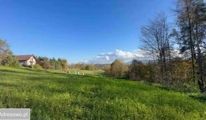 Działka inna Głogoczów