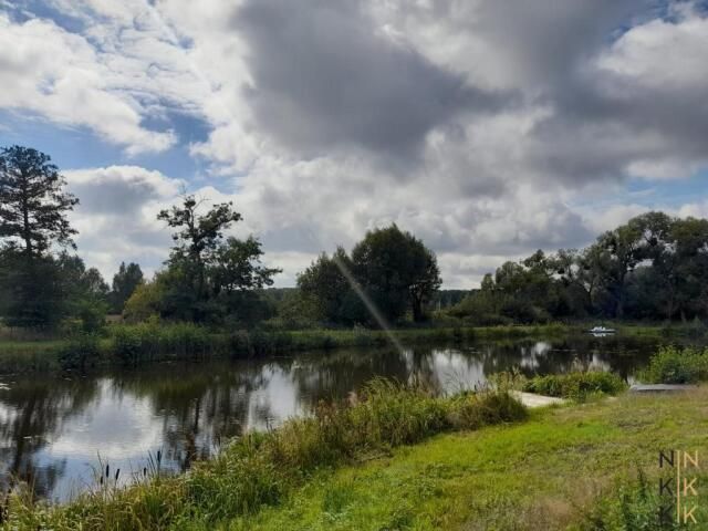 Lokal Błota. Zdjęcie 12