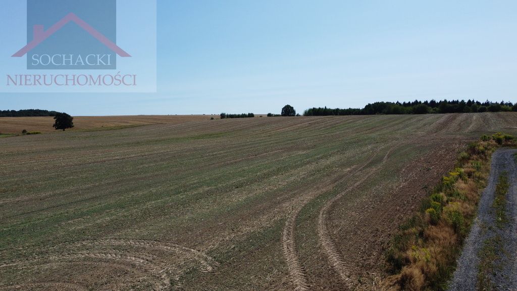 Działka inwestycyjna Olszyna. Zdjęcie 7