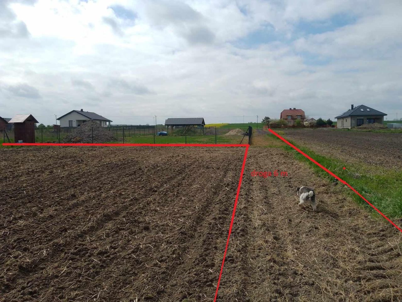 Działka budowlana Pniówek Kolonia Górna. Zdjęcie 2