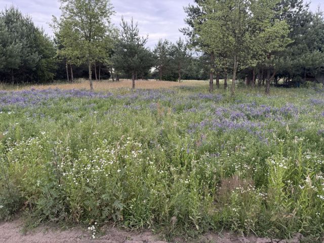 Działka rekreacyjna Brańszczyk Brańszczyk-Nakieł. Zdjęcie 1