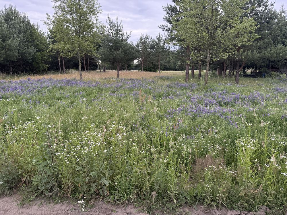 Działka rekreacyjna Brańszczyk Brańszczyk-Nakieł. Zdjęcie 1