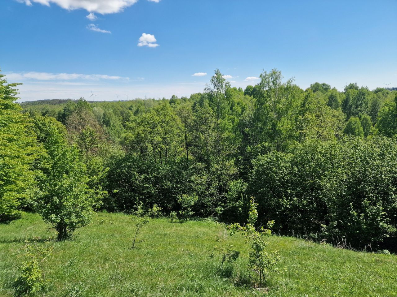 Działka inwestycyjna Malesowizna. Zdjęcie 6