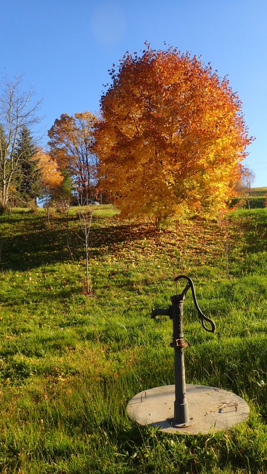 Działka rolna Szczepanowice. Zdjęcie 3