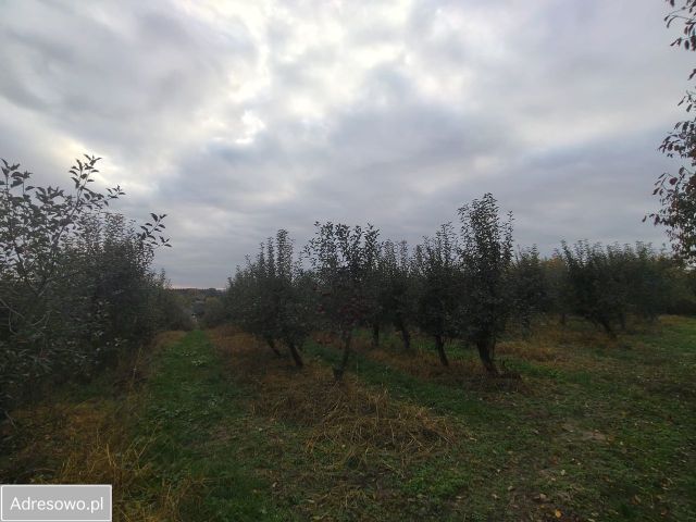 Działka rolno-budowlana Kazimierz Dolny Jeziorszczyzna. Zdjęcie 1