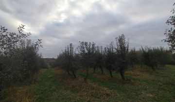 Działka rolno-budowlana Kazimierz Dolny Jeziorszczyzna