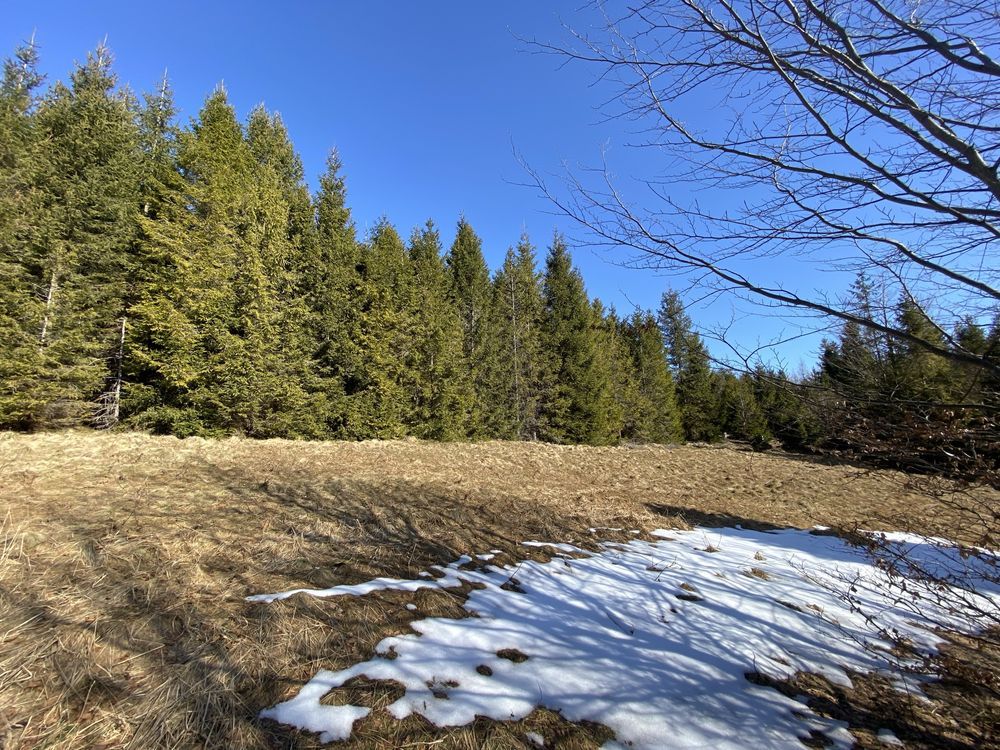 Działka rekreacyjna Bystra. Zdjęcie 5