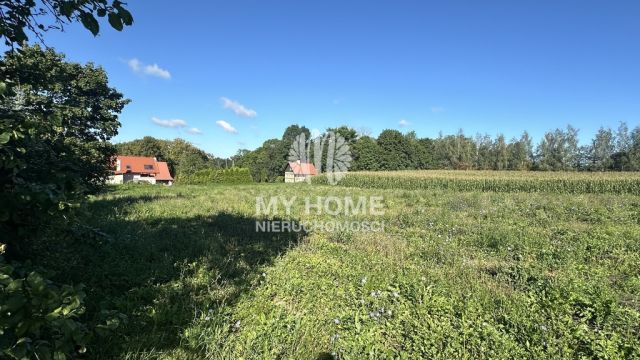 Działka Dłużec. Zdjęcie 3