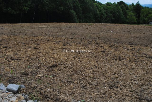 Działka rolno-budowlana Jankówka. Zdjęcie 2