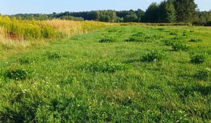 Działka rolna Jamnica