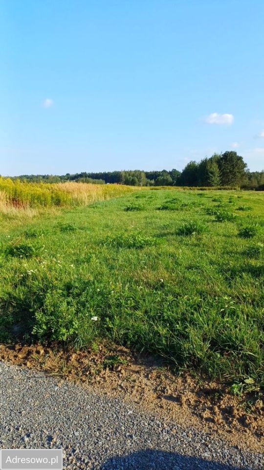 Działka rolna Jamnica