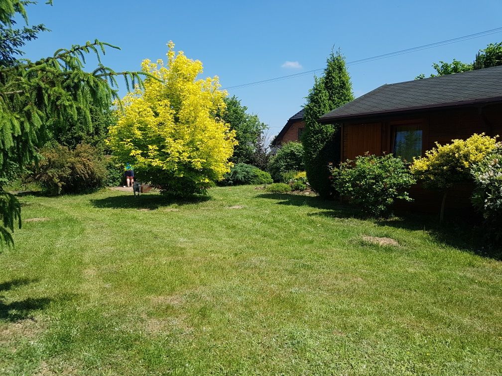 Działka budowlana Anielin Swędowski