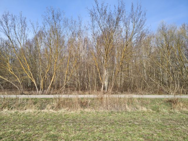 Działka rolno-budowlana Joachimów-Mogiły. Zdjęcie 1