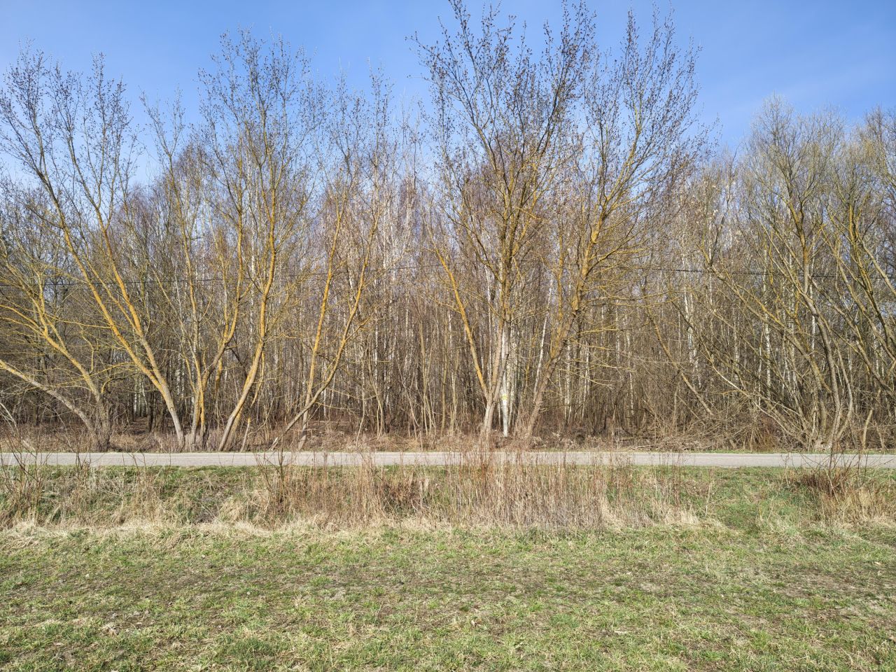 Działka rolno-budowlana Joachimów-Mogiły. Zdjęcie 1