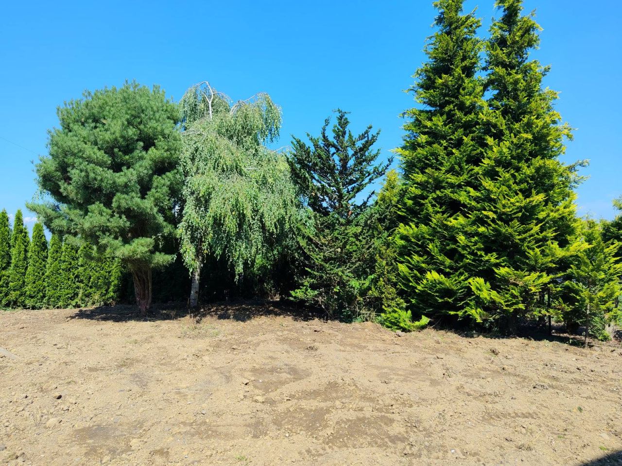 bliźniak, 7 pokoi Biery. Zdjęcie 5