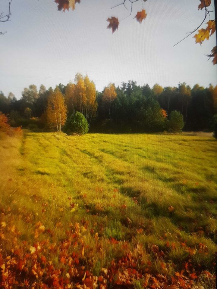 Działka Majdan Kasztelański. Zdjęcie 2