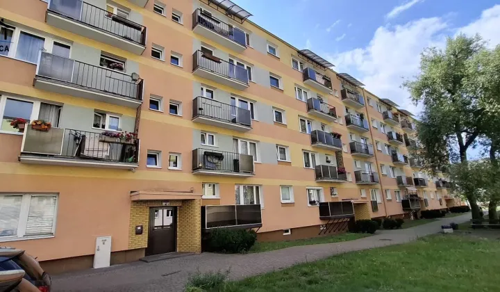 Mieszkanie 3-pokojowe Bydgoszcz Błonie, ul. Romana Dmowskiego