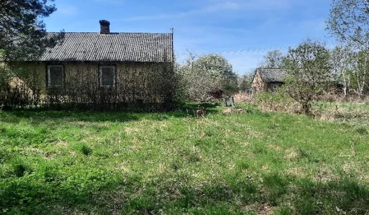 Działka siedliskowa Dragany