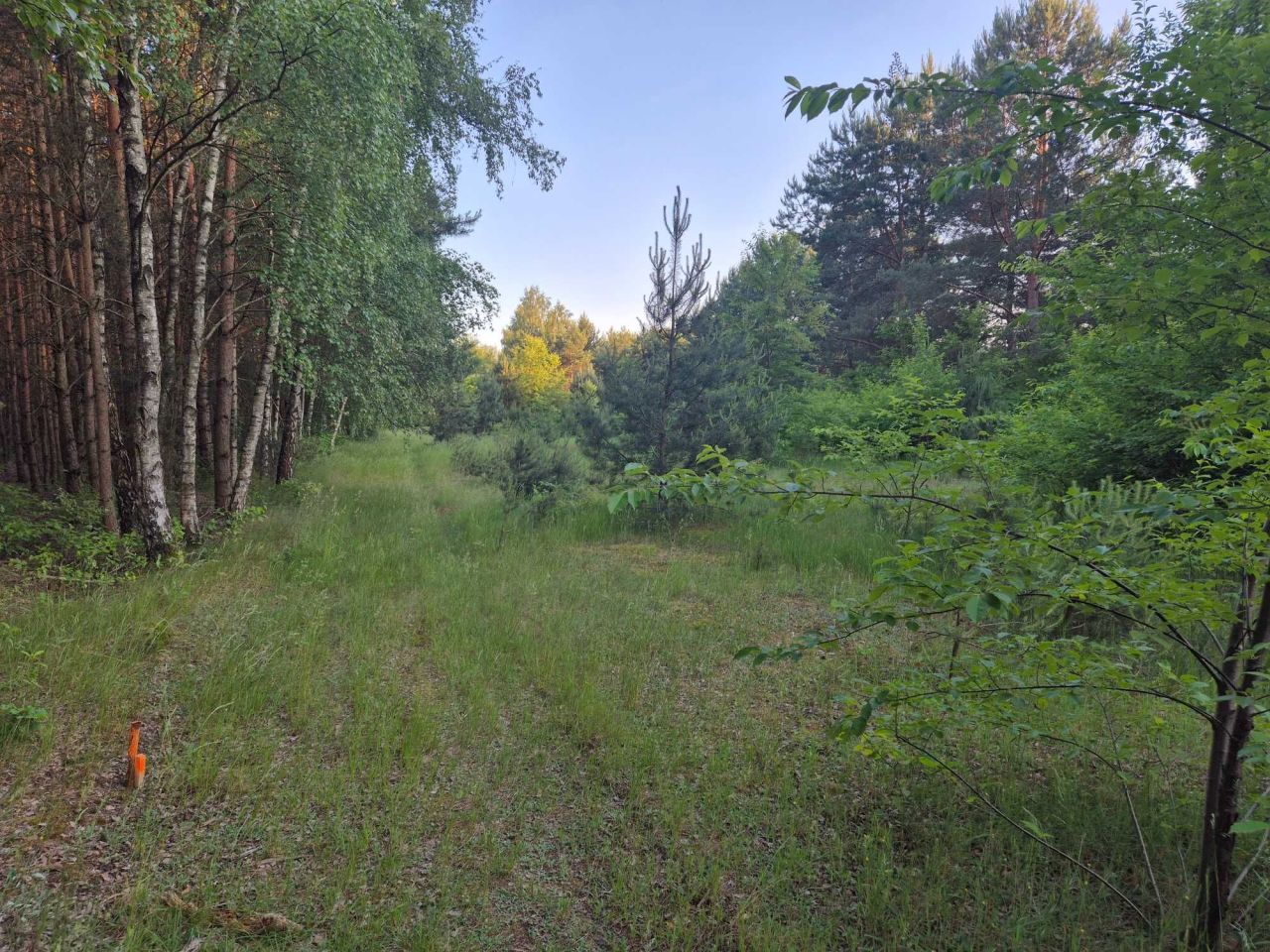 Działka budowlana Kurnos Drugi. Zdjęcie 3