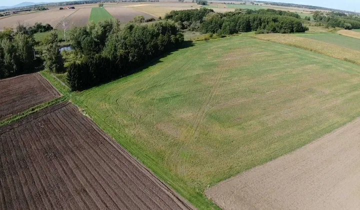 Działka rolno-budowlana Miłonów