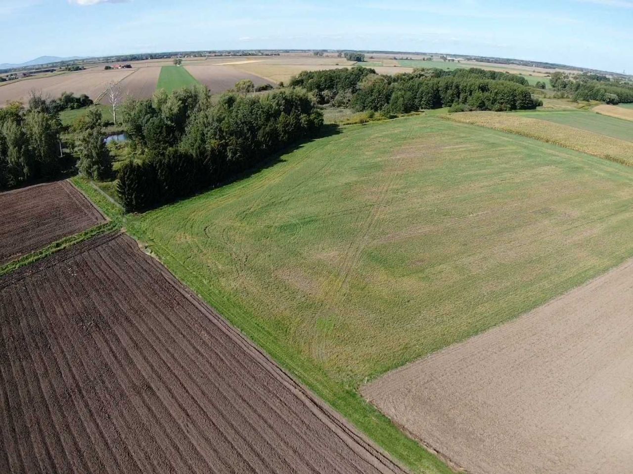 Działka rolno-budowlana Miłonów. Zdjęcie 1