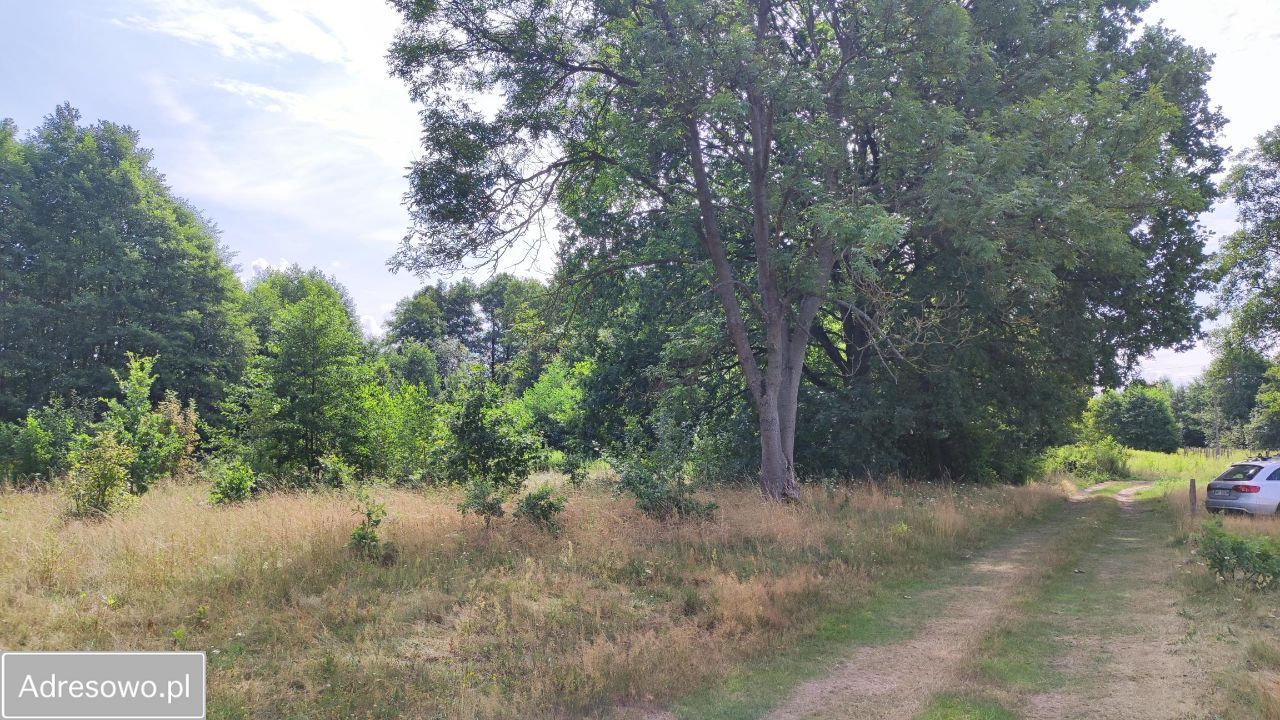 Działka rolna Secymin Polski. Zdjęcie 7