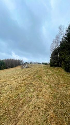 Działka rolna Tylicz. Zdjęcie 5