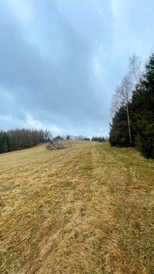 Działka rolna Tylicz. Zdjęcie 5