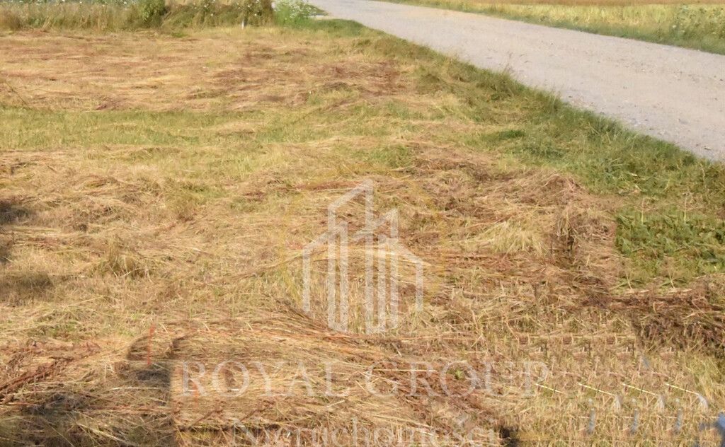 Działka siedliskowa Siedliska. Zdjęcie 5