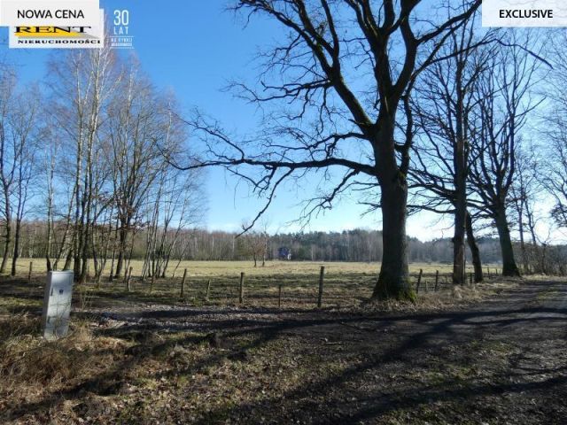 Działka budowlana Krzywice. Zdjęcie 4