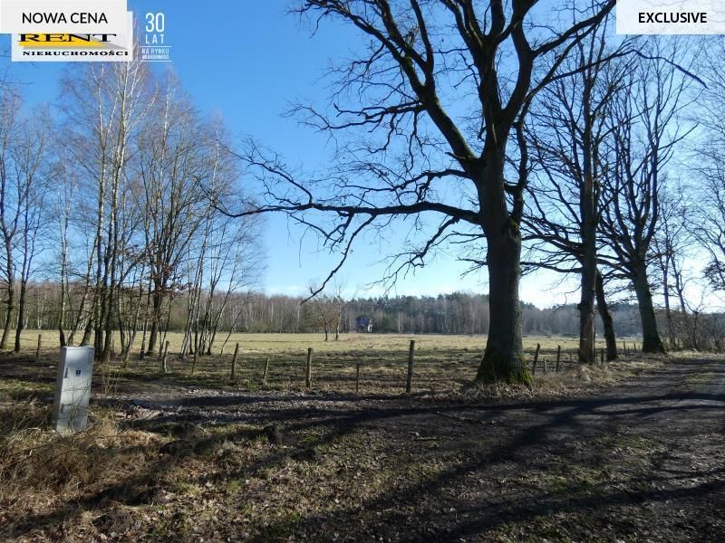 Działka budowlana Krzywice. Zdjęcie 4