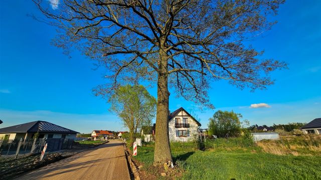 Działka budowlana Babrosty. Zdjęcie 17