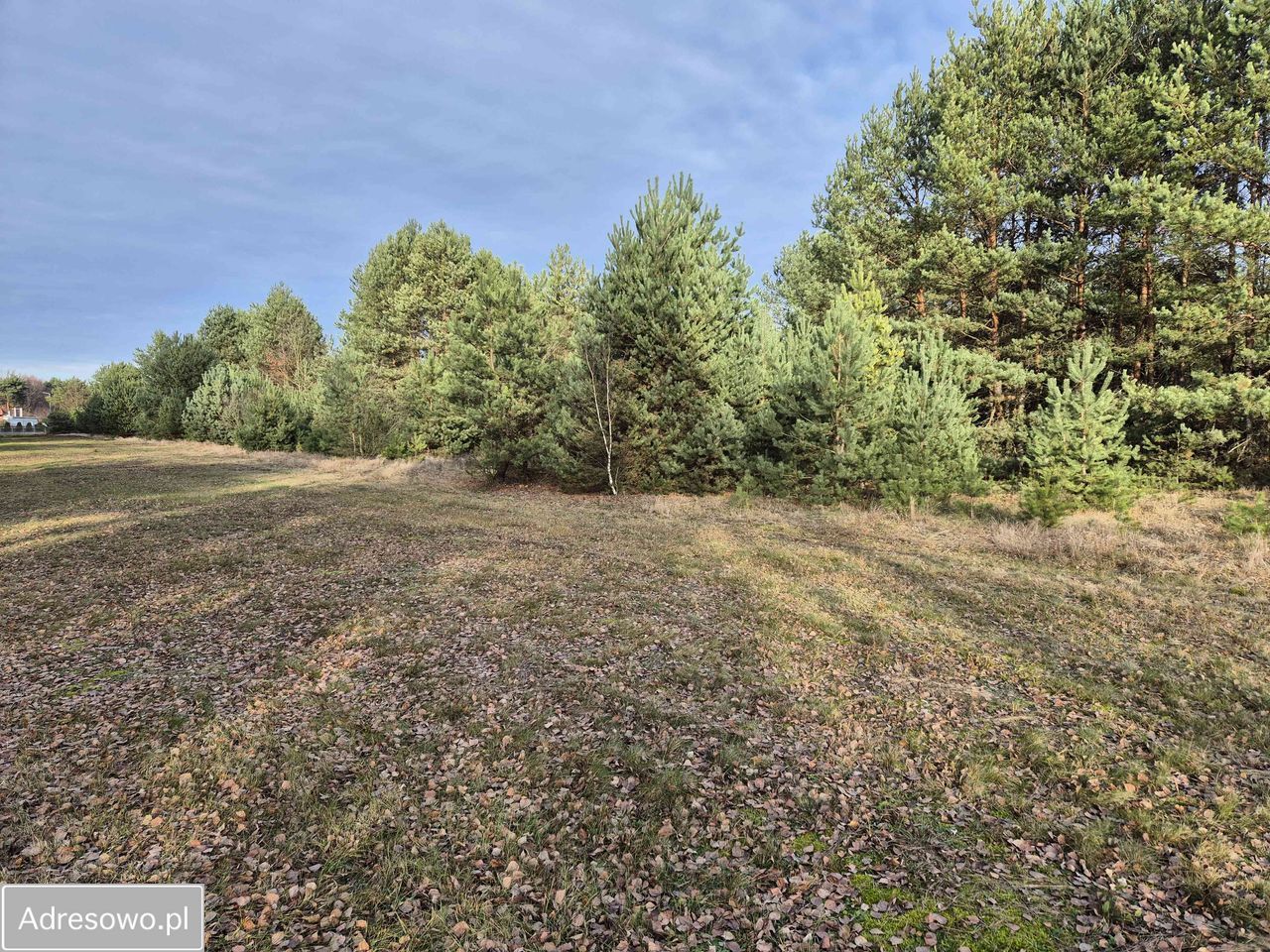 Działka rekreacyjna Biała Góra. Zdjęcie 1