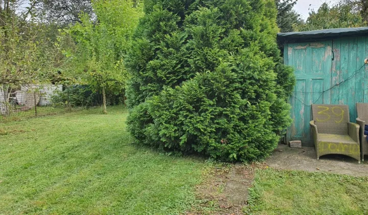 Działka rod Legnica