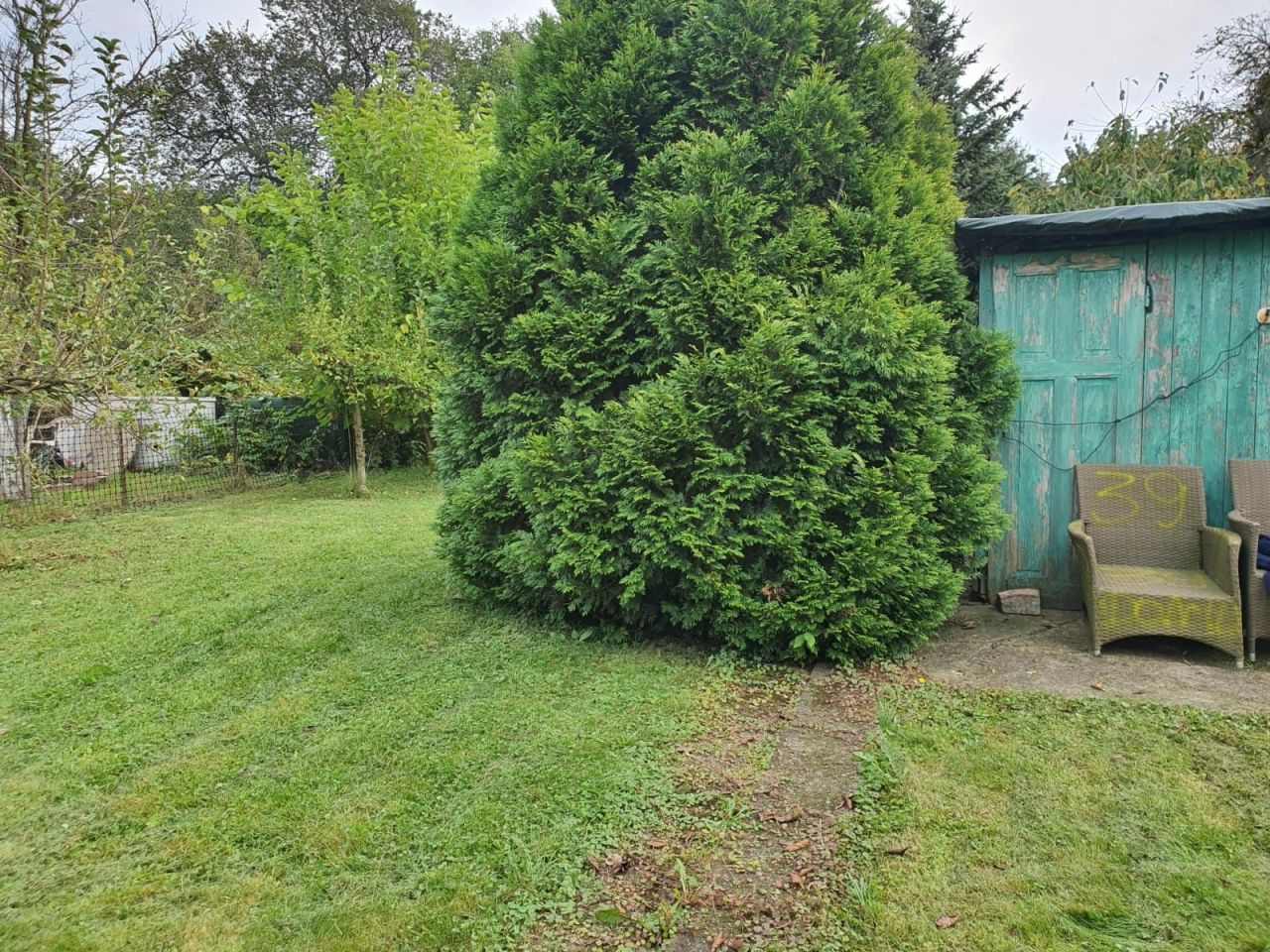 Działka rod Legnica. Zdjęcie 1