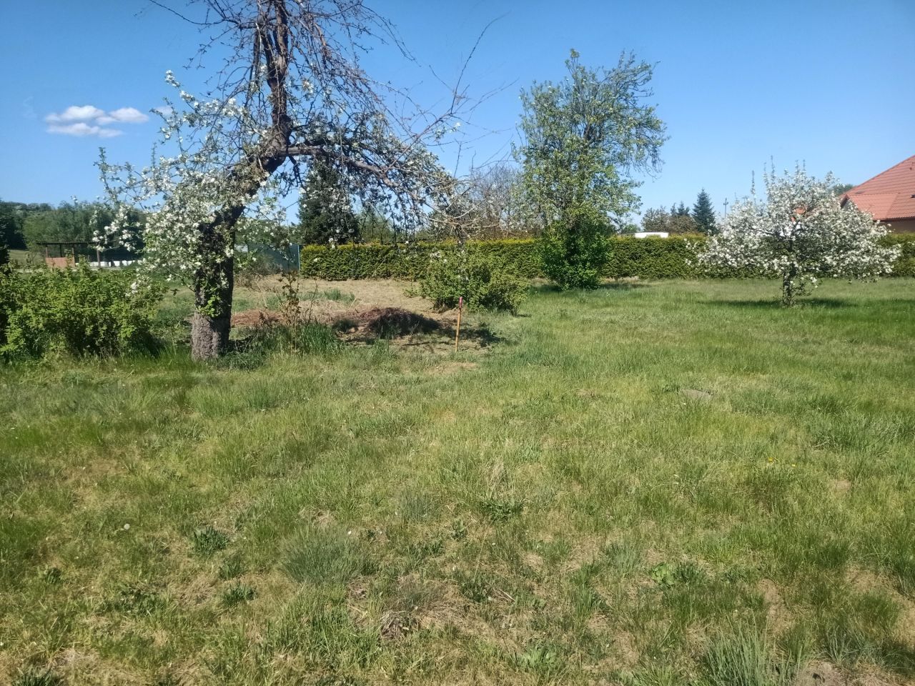 bliźniak, 3 pokoje Gruczno, ul. Świecka. Zdjęcie 6