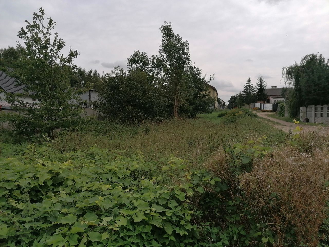 Działka budowlana Antoniówka, ul. Azaliowa. Zdjęcie 3