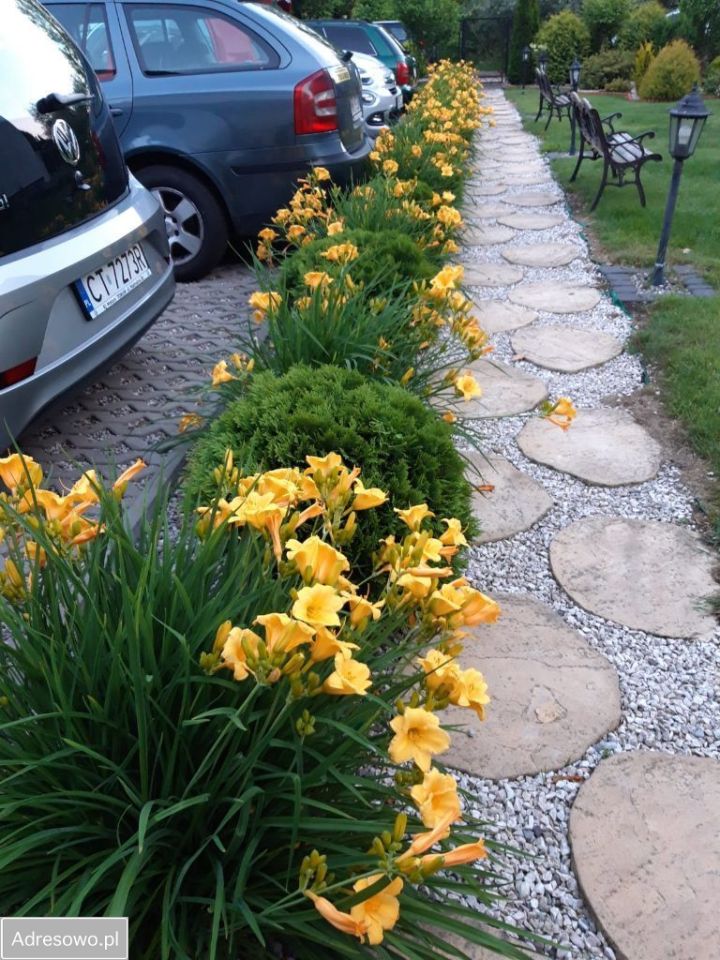 Hotel/pensjonat Kołobrzeg. Zdjęcie 6