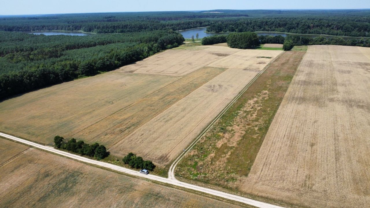 Działka rekreacyjna Radomierz. Zdjęcie 4