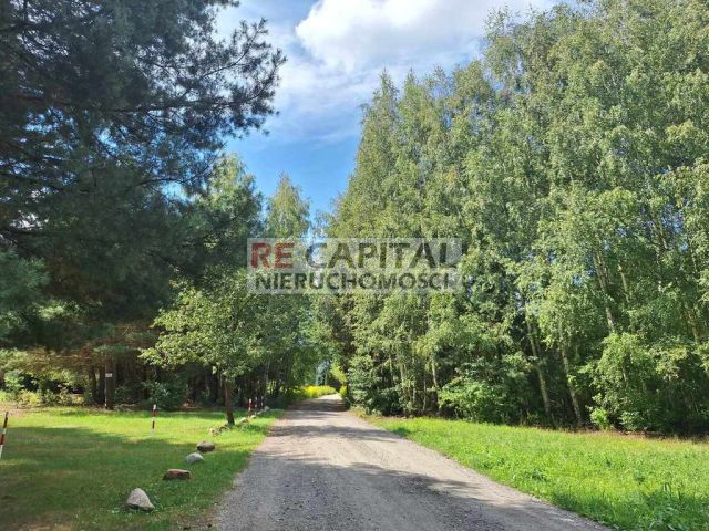 Działka siedliskowa Mariew. Zdjęcie 1