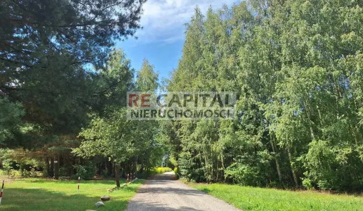 Działka siedliskowa Mariew